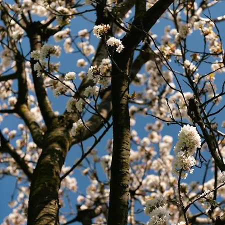 Cascina Pajanot Gospodarstwo agroturystyczne Benevello